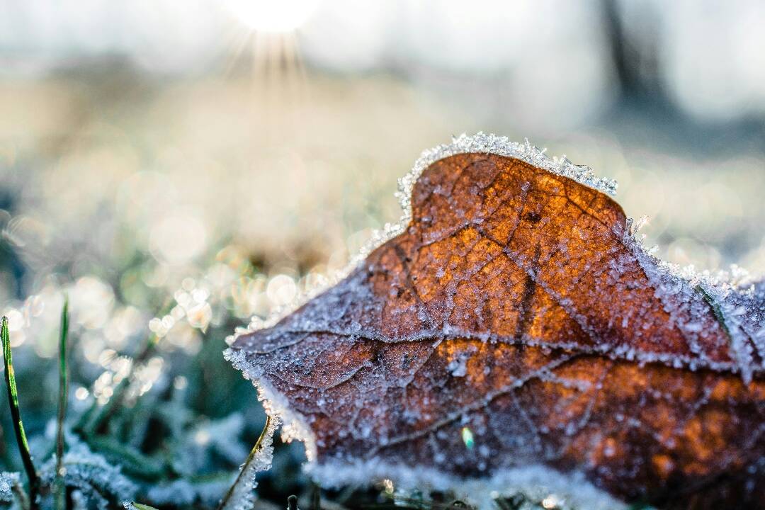 Foto: Začiatok týždňa je chladný, čakajú nás mrazy aj počas nasledujúcich dní?