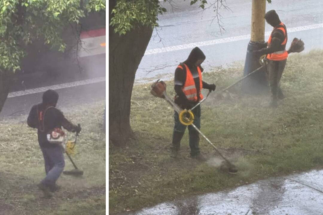 Foto: „Za rana je najľepśejśi, za rana je rosa“. Zamestnanci mesta Prešov kosia trávu aj za dažďa. 