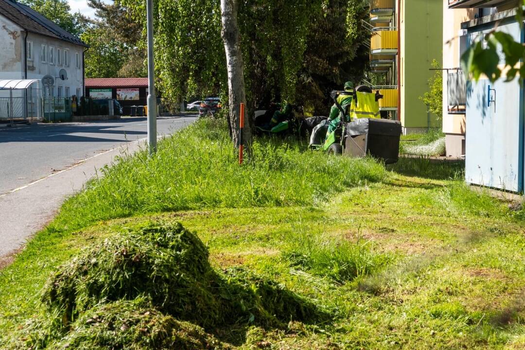 Foto: V Poprade sa nedávno začalo s kosbou verejnej zelene. V niektorých oblastiach prebieha až 20-krát ročne