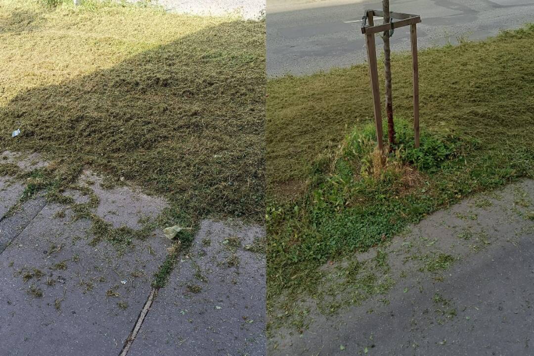 Foto: Pokosené už bolo, teraz zas nemá kto pohrabať. Toto myslia vážne?, pýtajú sa Prešovčania. Mesto sa bráni