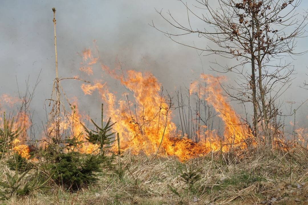 Foto: Pre niektoré okresy platí zvýšené nebezpečenstvo vzniku požiaru. Opatrnosť treba zvýšiť aj v Prešovskom kraji