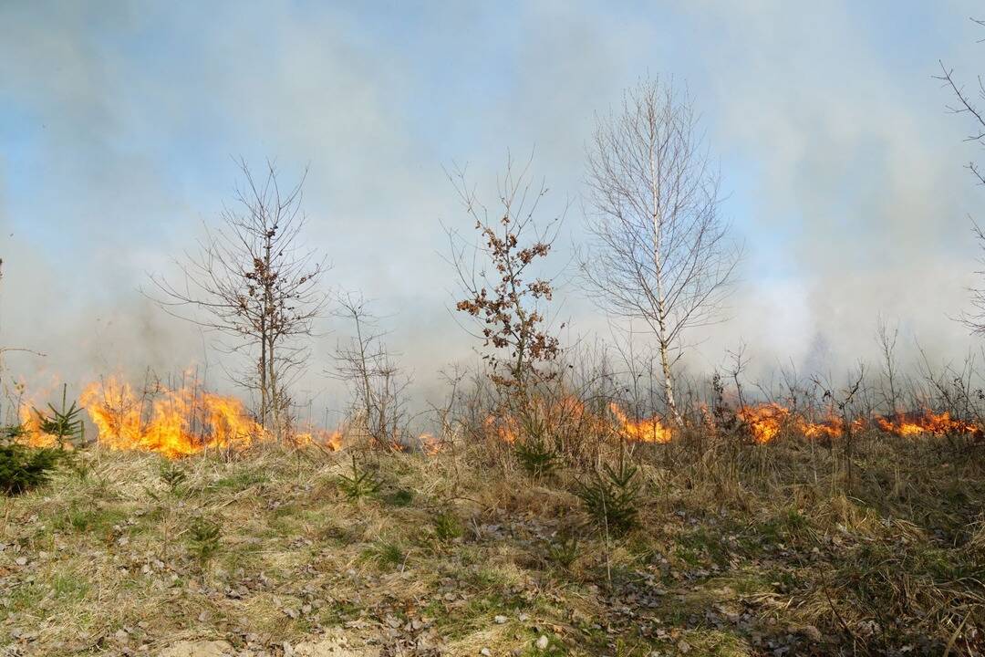 Foto: Pre okresy Prešovského kraja platí zvýšené nebezpečenstvo požiaru. Tieto zásady by ste mali dodržiavať