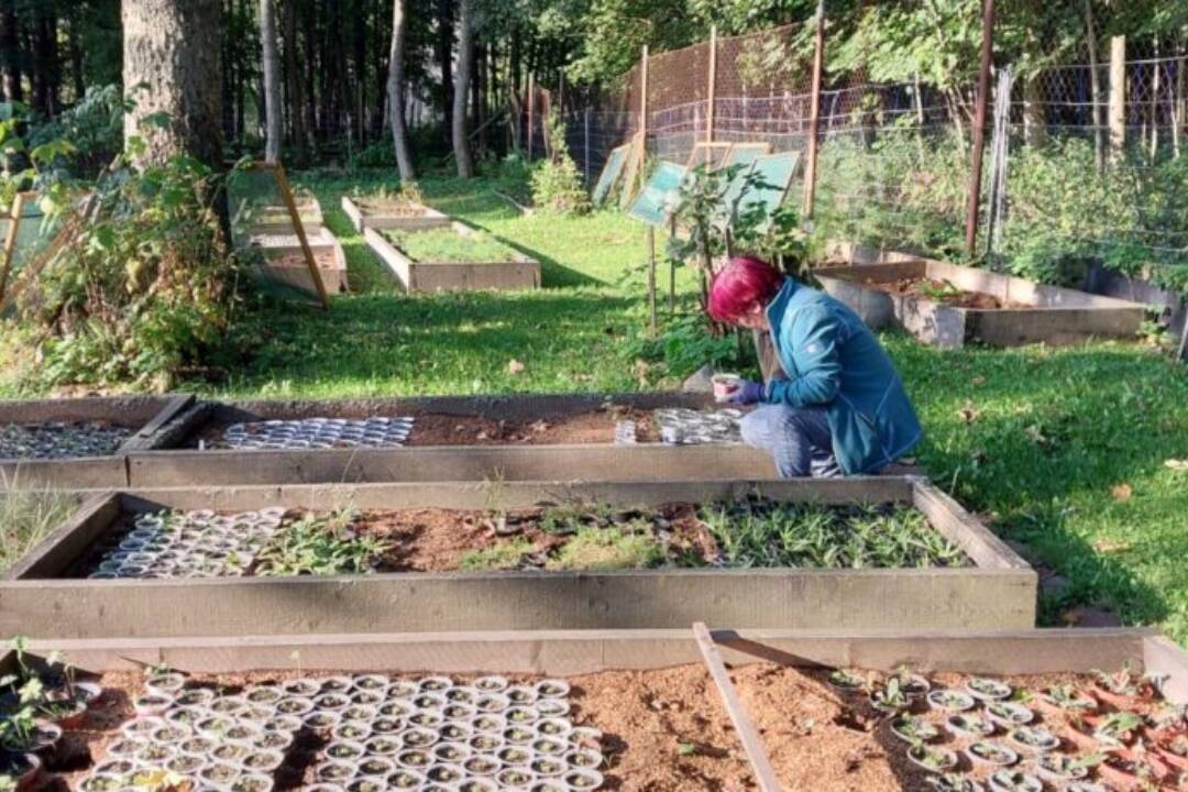 Foto: Letná sezóna botanickej záhrady v Tatranskej Lomnici sa skončila. Tento rok ju navštívilo 13-tisíc ľudí