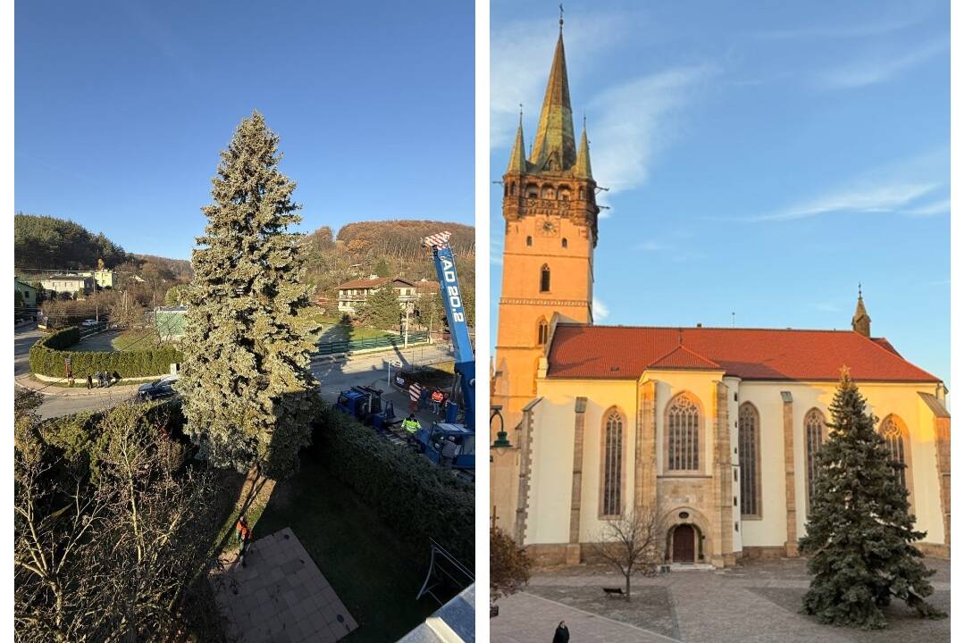 Foto: Centrum Prešova už zdobí 16-metrový vianočný smrek. V meste nebude jediný 