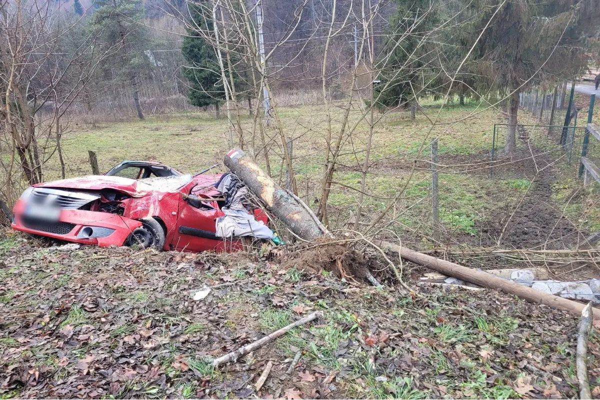 FOTO: Pri dopravnej nehode v Cemjate narazilo auto do stromu. Vodič skončil v nemocnici 