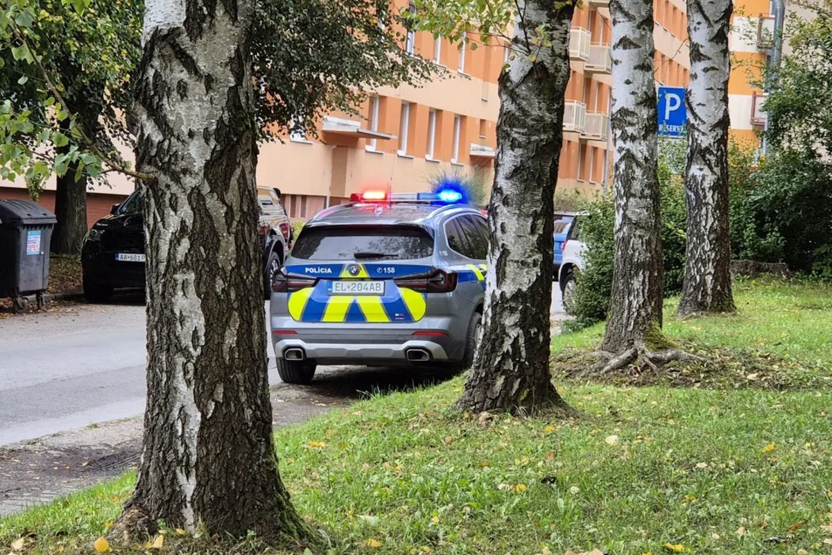 Foto: Prešovský vodič šoféroval s 2 promile, jazdil zo strany na stranu, policajná hliadka mu klepla po prstoch