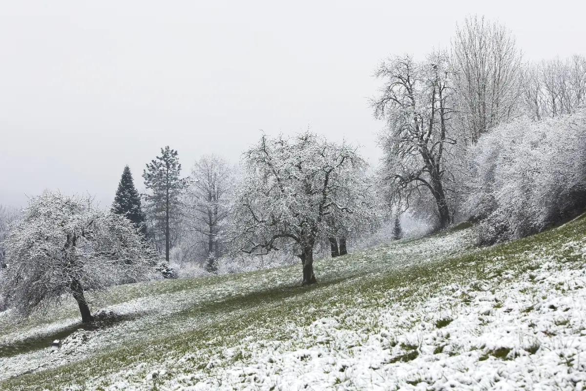 Foto: Teploty na začiatku týždňa poriadne klesnú, objaví sa aj sneženie. V Prešovskom kraji očakávajte silný vietor