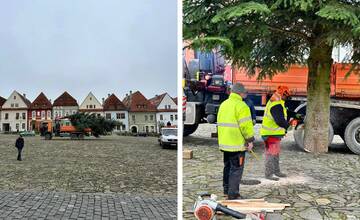 FOTO: Bardejov sa pripravuje na vianočné obdobie. Na Radničnom námestí pribudla jedlička