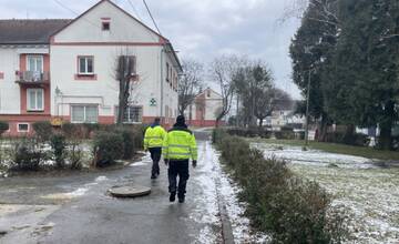 Vo Vranove nad Topľou dohliadajú na poriadok v meste okrem polície aj občania