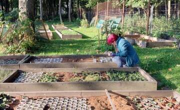 Letná sezóna botanickej záhrady v Tatranskej Lomnici sa skončila. Tento rok ju navštívilo 13-tisíc ľudí