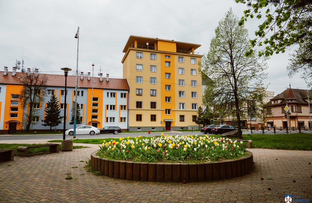 FOTO: Poprad zdobia farebné tulipány , foto 13