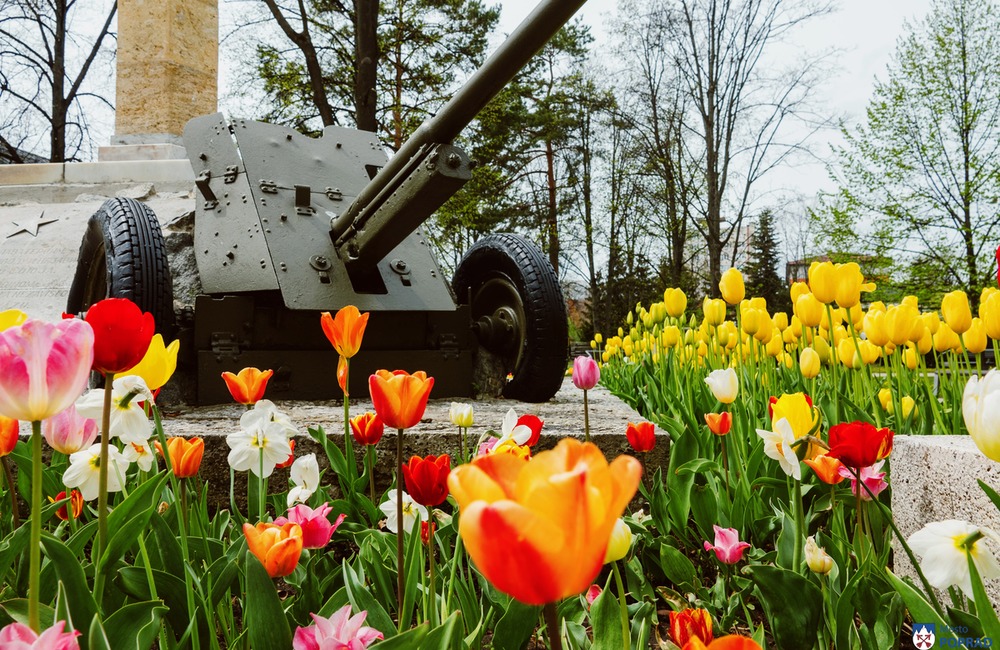 FOTO: Poprad zdobia farebné tulipány , foto 21