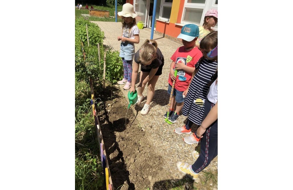 FOTO: Festival dobrovoľníctva Milujem svoje mesto v Prešove, foto 5