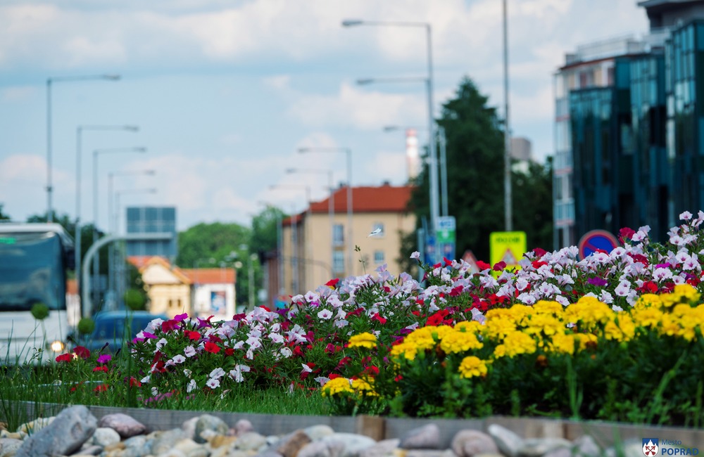 FOTO: V Poprade prebieha výsadba letničiek, foto 4