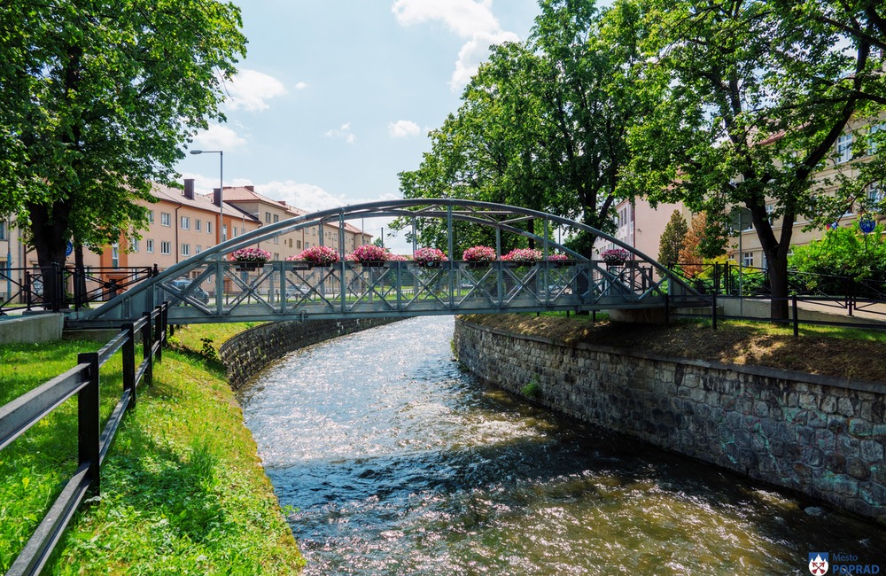 FOTO: V Poprade prebieha výsadba letničiek, foto 23