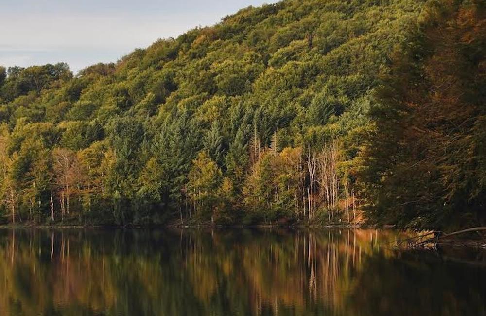 FOTO: Zamestnanci kežmarskej nemocnice si oddýchli v rezervácii Morské oko, zúčastnili sa terapie Lesný kúpeľ, foto 8