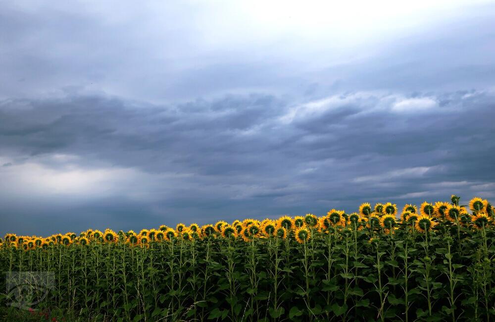 FOTO: Víťazné fotografie Choď a foť 2023, foto 6