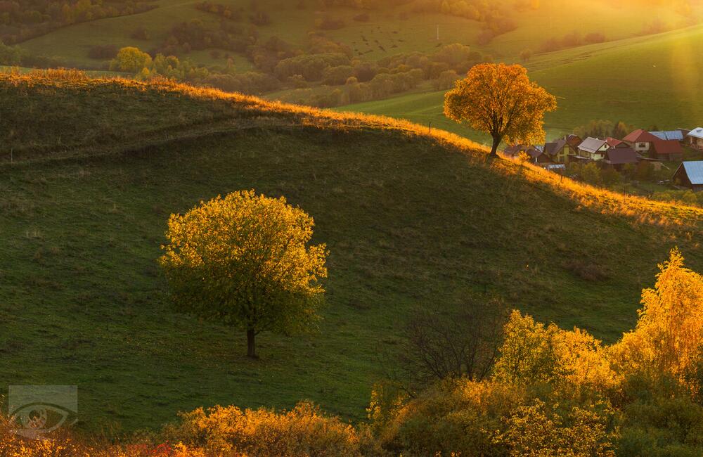 FOTO: Víťazné fotografie Choď a foť 2023, foto 38