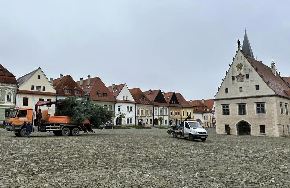 FOTO: V Bardejove pribudla vianočná jedľa biela, foto 6