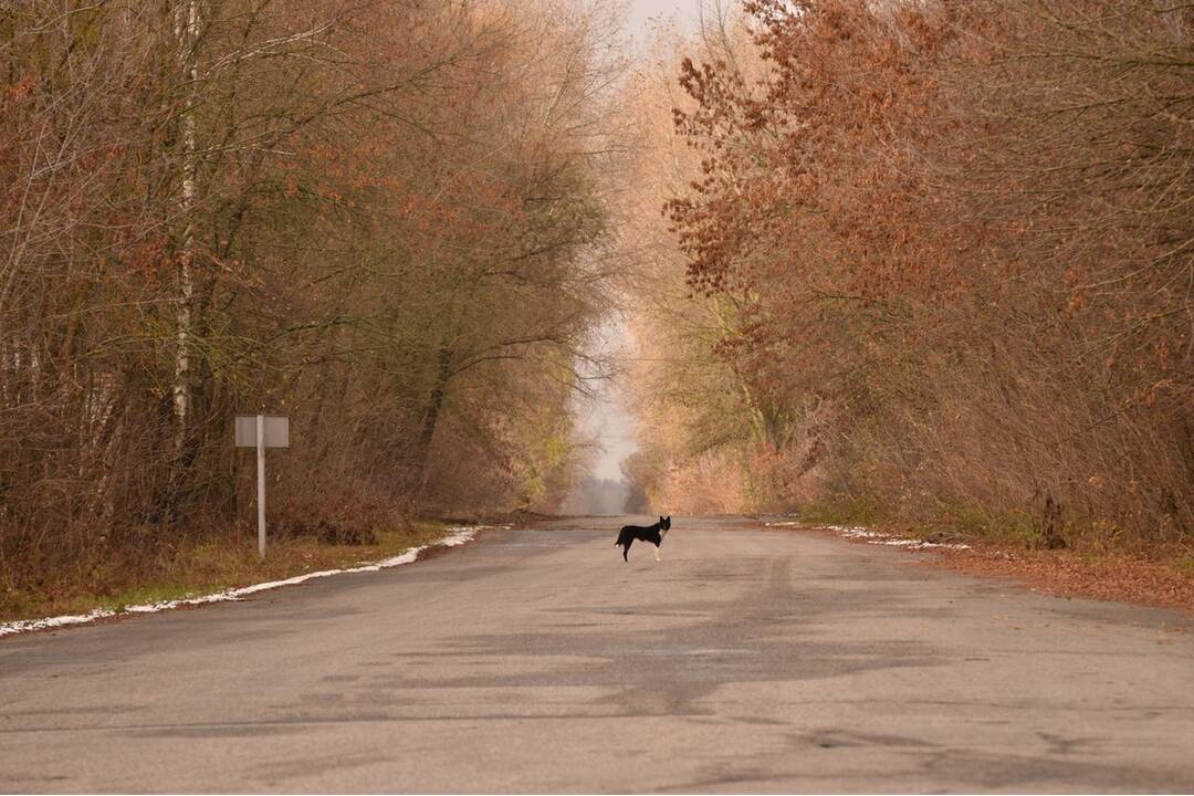 FOTO: Mestá duchov Černobyľ a Pripjať, foto 66