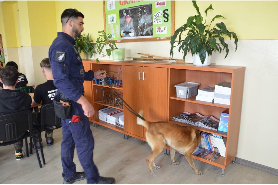 FOTO: V Snine prebehla medzinárodná príprava so psovodmi, foto 4