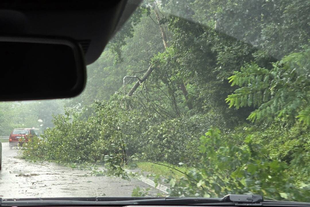 FOTO: Humenné zasiahla silná búrka, foto 4