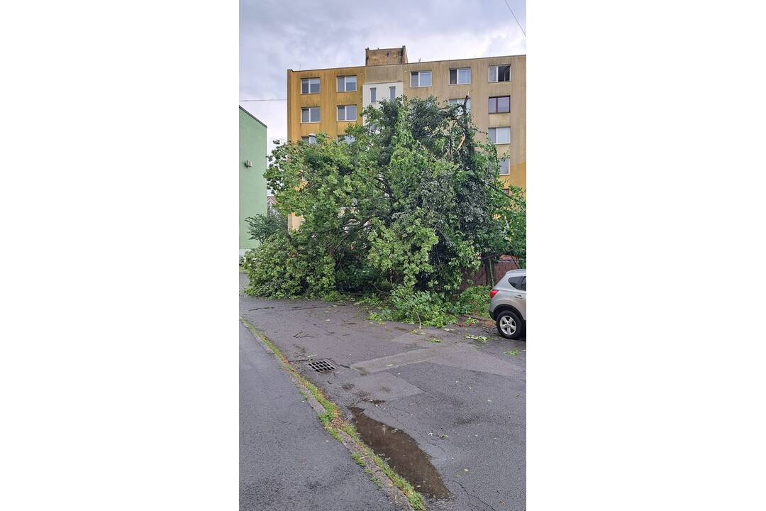 FOTO: Búrka vo Vranove nad Topľou za sebou zanechala spúšť, foto 1