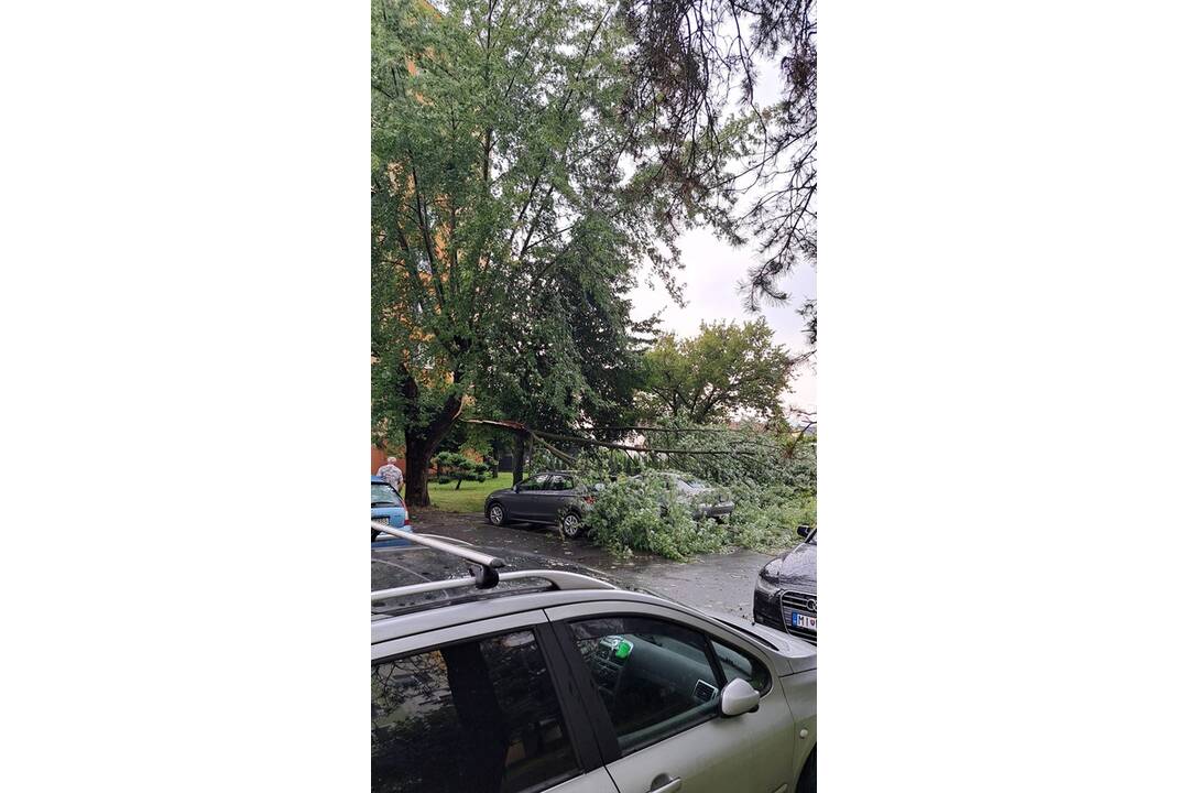 FOTO: Búrka vo Vranove nad Topľou za sebou zanechala spúšť, foto 2