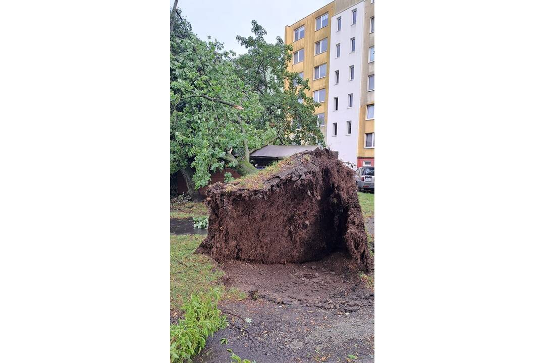 FOTO: Búrka vo Vranove nad Topľou za sebou zanechala spúšť, foto 3