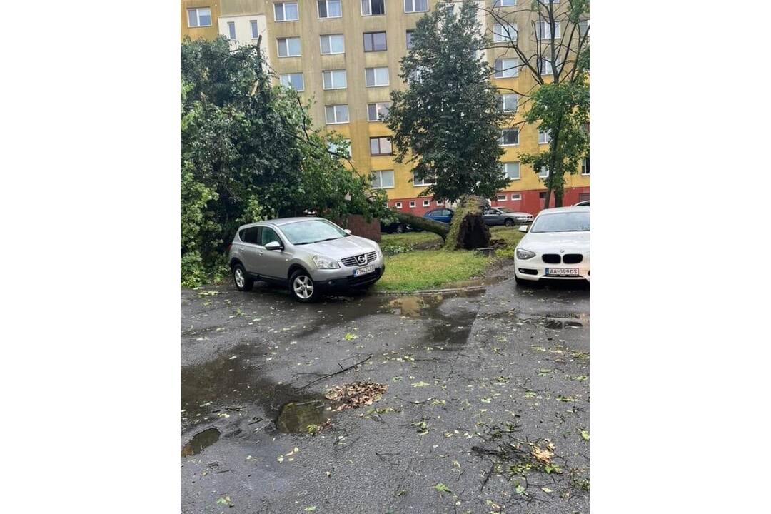 FOTO: Búrka vo Vranove nad Topľou za sebou zanechala spúšť, foto 15