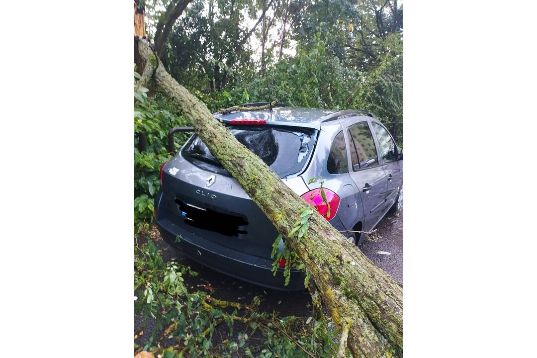 FOTO: Búrka vo Vranove nad Topľou za sebou zanechala spúšť, foto 22