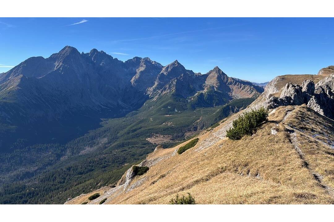 FOTO: V Tatrách prebehlo jesenné sčítanie kamzíkov, foto 6