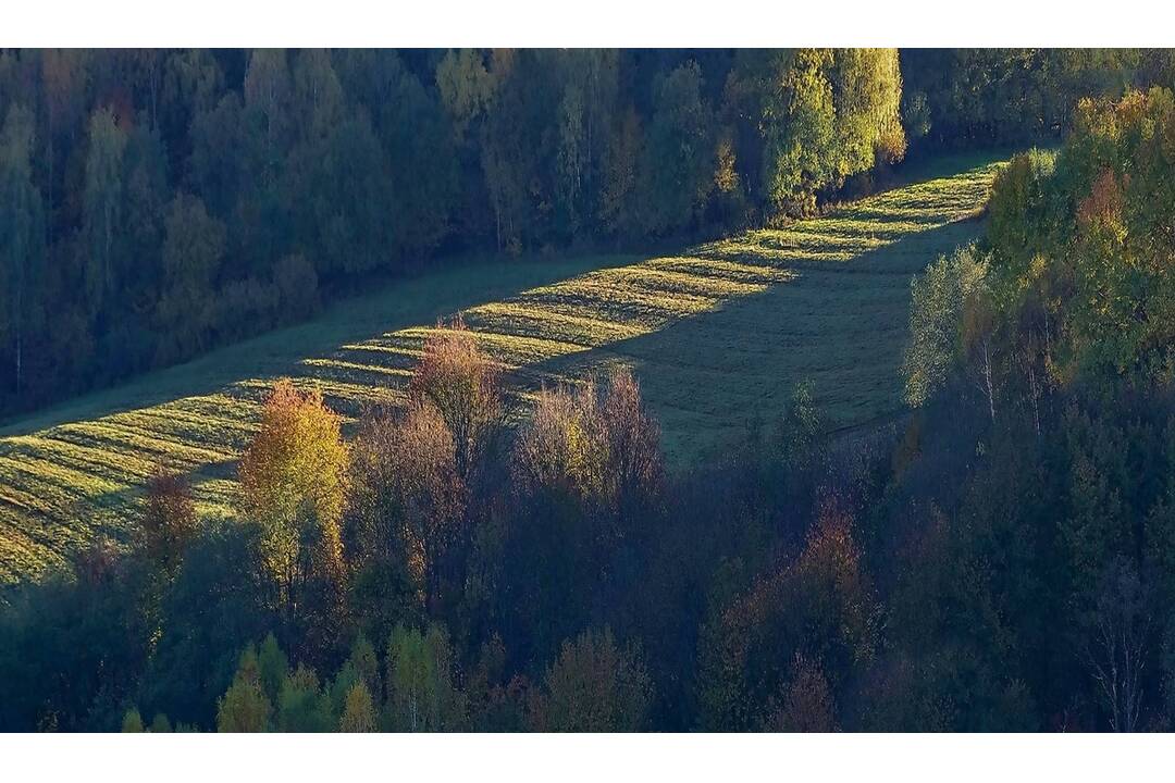 Víťazné fotografie súťaže, foto 7