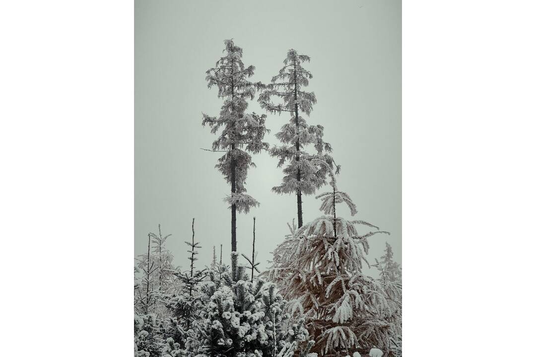 FOTO: Tatranskú Lomnicu už zdobí prvý sneh, foto 1