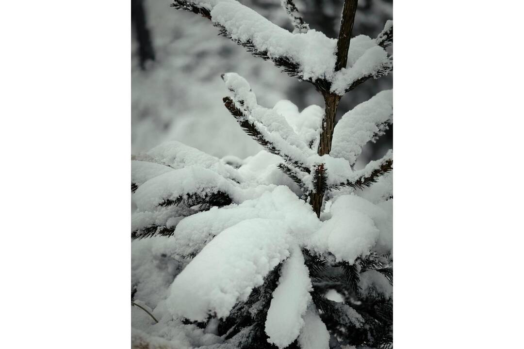 FOTO: Tatranskú Lomnicu už zdobí prvý sneh, foto 5