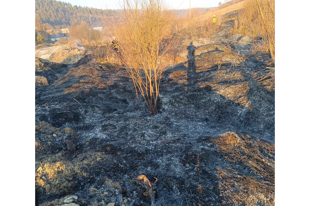 FOTO: Pri Prešove došlo k rozsiahlemu požiaru, foto 3