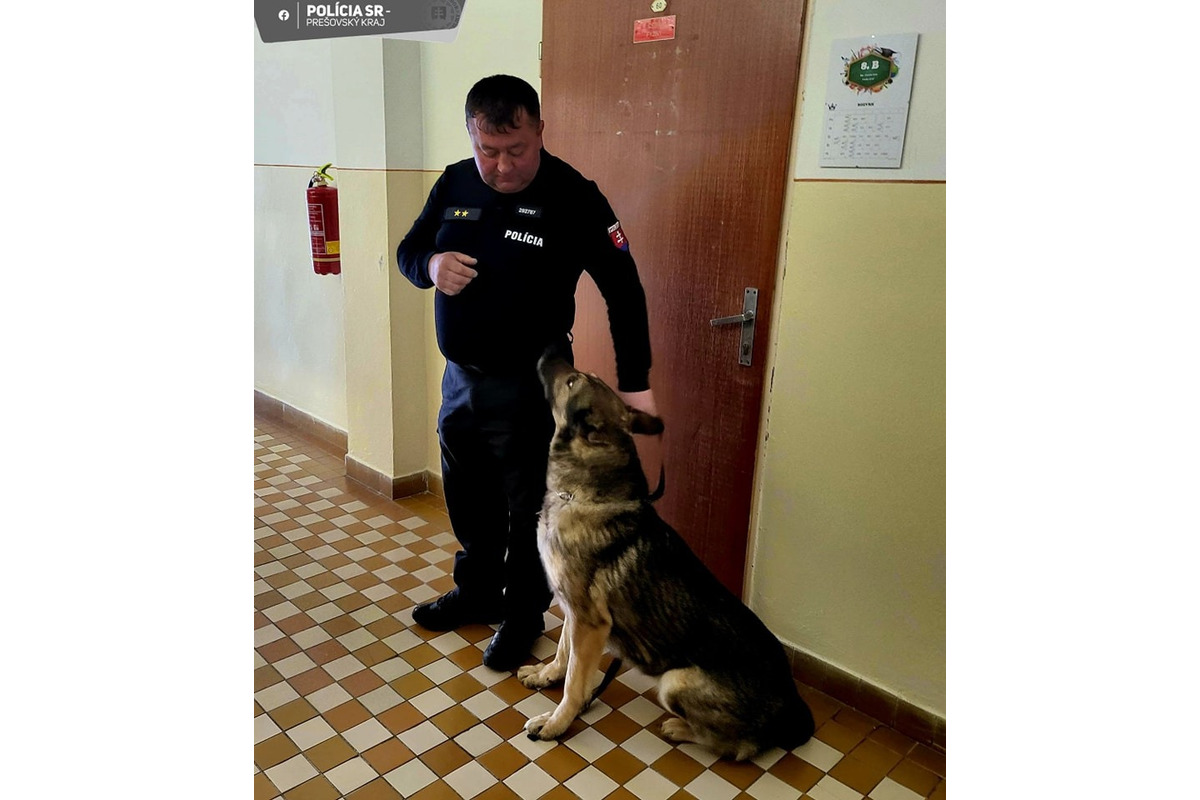 FOTO: Policajti so psom prehľadali školu v Prešove, medzi žiakmi hľadali drogy, foto 1