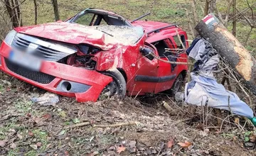 FOTO: Pri dopravnej nehode v Cemjate narazilo auto do stromu